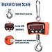 Digital Hanging Scale 500kg/1100lb, Charging Function, Industrial Heavy Duty Crane Scale Hook Scale for Factories, Farms, Hunting Grounds, Deer Farms, Fisheries, Orchards, garages