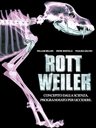  Rottweiler