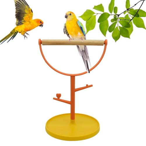 Support pour perchoir à oiseaux | Stand de perruches | Cage Perche Porte-Oiseau De Table En Bois Portable Résistant Aux Morsures Pour Perruches, Cockatiel,...