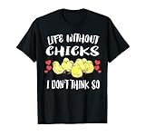 Chcikens Birds Animals
