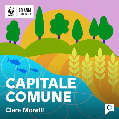 Couverture de Capitale comune