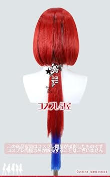 ak様 イントゥーザフレンジー オウムダンサー 仮装 衣装 dハロ ファシリエ オウム ダンサー イントゥーザフレンジー 衣装 仮装 dハロ