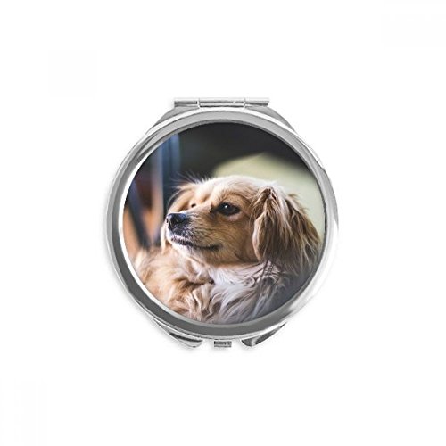 Miroir de poche petit chien mignon, une idée cadeau tendre et utile pour les amoureux d'animaux