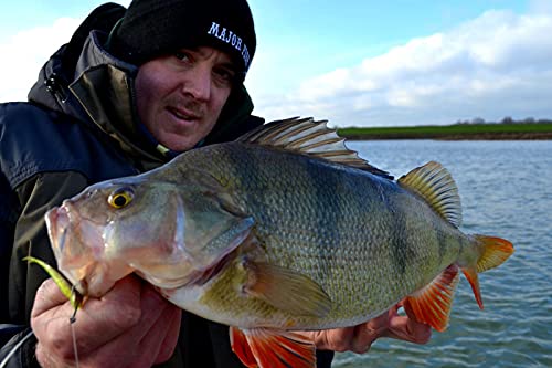 Foto von Major Fish Barsch Box 35teilig Gummifische Hardbaits Set mit Wobbler Drop-Shot und Zubehör zum Barschangeln