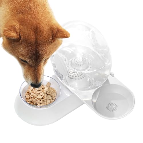 Fontaine pour chat en escargot : le distributeur d'eau idéal pour vos absences - 8