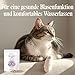 Urologist Aid 250 mg - Blasenformel bei Blasenentzündung & Blasengries für Katzen, kleine Hunde, Meerschweinchen & Kaninchen - pflanzliches Nahrungsergänzungsmittel für Blase & Harnwege - Sensipharm