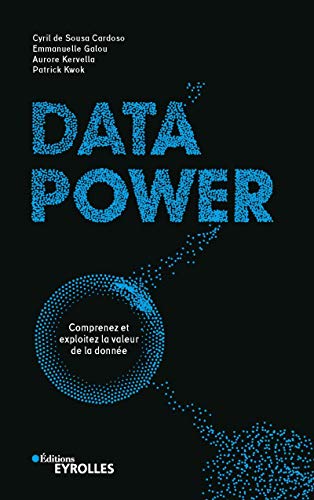 Télécharger Data power: Comprenez et exploitez la valeur de la donnée (EYROLLES) PDF