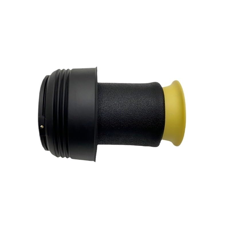 Ressort de suspension pneumatique arrière de haute précision OEM 37126790078