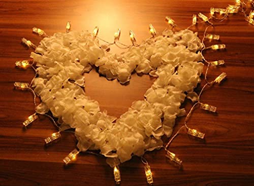 Jasmine 1000 Pieces Seperated Non-Woven Rose Petals Artificial Flower Petals For Wedding Confetti Valentine Day Flower Deor,Gold #TOP6