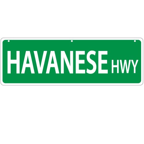 Imagine This Havanese Street Sign