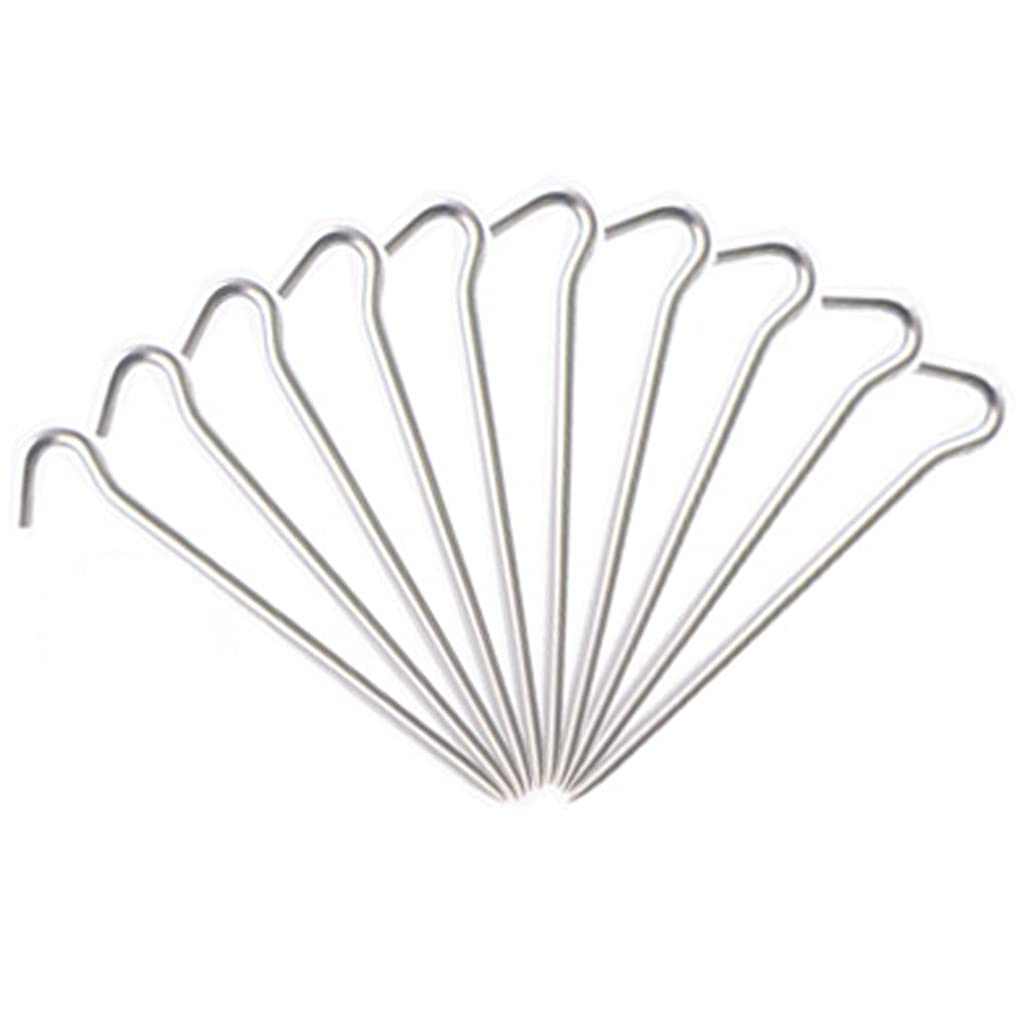 Piquets de Tente – 10 pièces en Alliage d'aluminium léger et Portable, Accessoires de Camping, piquets de Tente, Clous for la Fixation des auvents de Tente de Camping, bâches de Pluie