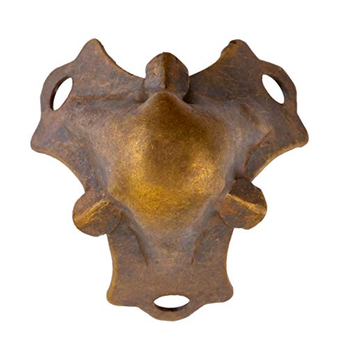 Medium Antique Brass Plated Trunk Corner Protector | Furniture Corner Guard Hardware for Small Trunk, Jewelry Box, Musical Speaker | CK1-SAB (4)