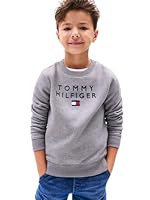 Tommy Hilfiger Kid's Boy's Logo Sweatshirt, Heather Grey, Small