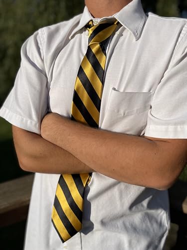 Image of tiemart Men's Striped Tie Standard Length