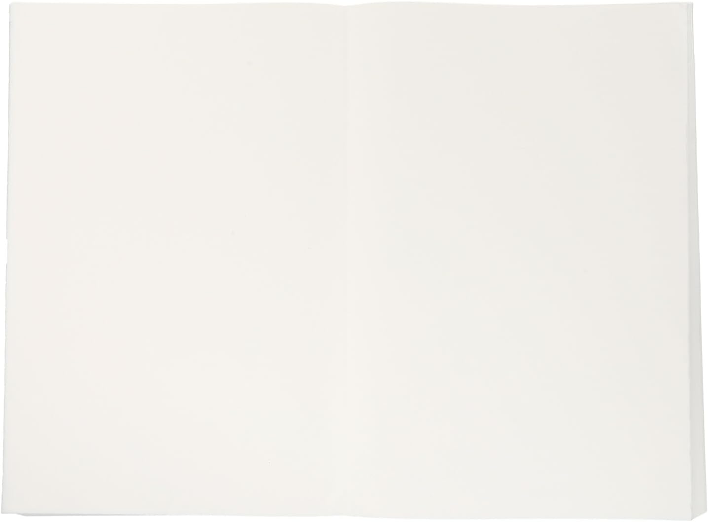 HINTRMENT 100Pcs Xuan Calligraphy Practice Paper Multi-Function Traditional Painting for Chinese Brush Writing Watercolor Drawing and Ink Art Beginners