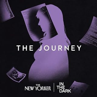 In The Dark Audiolibro Por The New Yorker arte de portada