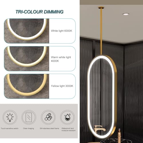 FGXHHS Owalne lustro z podświetleniem LED - 3 kolory ściemniane światło, montaż sufitowy ze złotym metalowym prętem, wiszące w korytarzu (60 cm x 100 cm)
