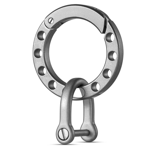 Image of Round Circle Carabiner with 2 /3in D Ring Keychain for Car Key