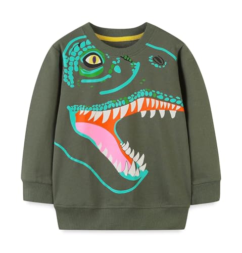 Boys Sweatshirts Long Sleeve Sweatshirts T-shirts Crew Neck Cotton Casual Sweatshirts Cartoon Tops for Boys-78