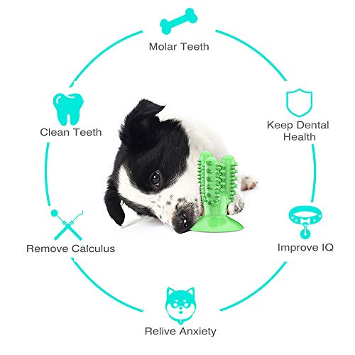 Ceesc Dog Toothbrush Chew Toys Dog Teeth Cleaning Stick,Puppy Brushing Dental Oral Care For Small Medium Large Dogs (Green) #TOP1