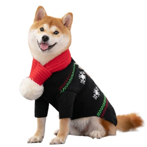 yFabigzp NX}X  RXvߑ ybg ybg}g tt[h ||t T^ NX}XXJ[tt H~p h ۉ g ^^^ WPbgO12