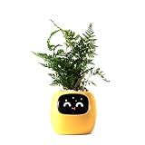 PLANTSIO
