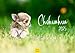 Hund und günstig Kaufen-Edition Seidel Premium Kalender Chihuahua 2025 Format DIN A3 Wandkalender Hundekalender Hund Welpe Hunderasse Haustier