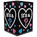 Gender Reveal Balloon Box - Holds Eight 11 Inch Standard Balloons.