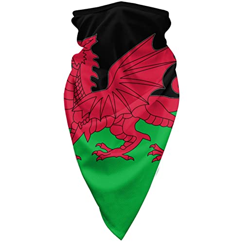 Welsh Flag Windproof Sports Face Mask Suitable for Motorcycle Mask Balaclava Outdoor Riding Scarf