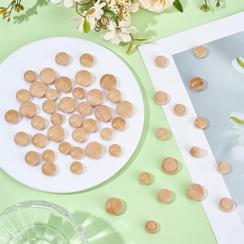 GORGECRAFT 160 Stück 4 verschiedene Ausführungen Holzdübel 10 13 15 18.5mm Holzschraubenlochstopfen Knopfstopfen Pilzförmige Hartholz Lochstopfen Für Spalten In Verriegelungsrohren Möbel Tisch Stuhlbe