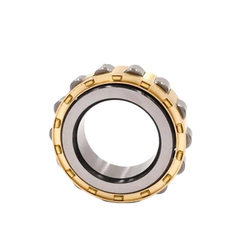 Reducer Parts Eccentric Bearing Cylindrical Bearing RN205 / RN206 / RN307 / RN309 / RN312 / RN219 / RN222 / RN228(RN307)