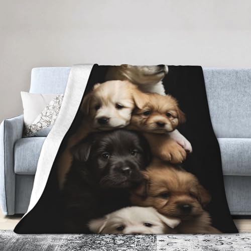 ׂĂ̋G߂ɓKĂ܂ Aj |ѕz   2 |ѕz uPbg tl zc ϋN R AM[h~ g ۉV[c dy Q \t@ uPbg 80"X60"