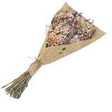 Hztyyier Ramo de Flores Secas Babysbreath Babysbreath Preservado Babysbreath para la Decoración del Hogar Aniversario de la Fiesta de Bodas con Tecnología Seca Al Aire