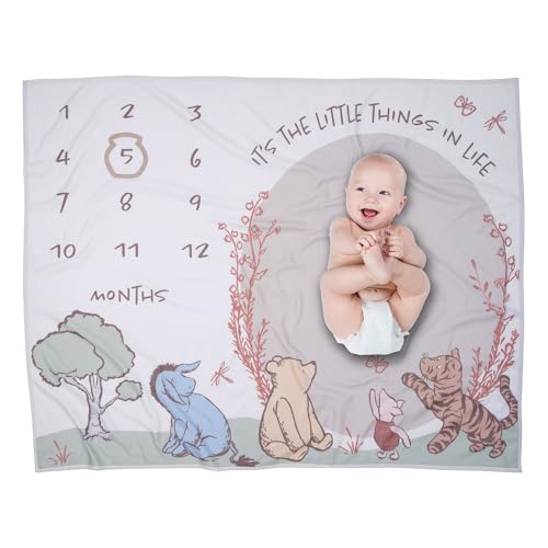 Lambs & Ivy Pooh Bear & Pals Milestone Baby Blanket - Brown, White, Green