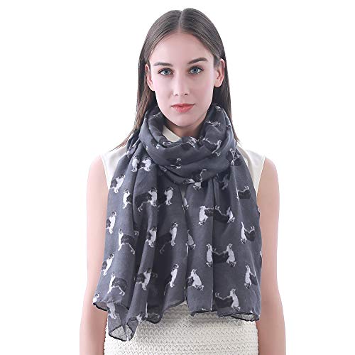 Border Collie Dog Print Women's Scarf Shawl Wrap Lightweight
