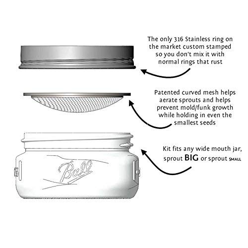 Trellis + Co. | Stainless Steel Sprouting Kit, 4 Pack | Rust Proof 316 Stainless, Curved Mesh, Fits Most Wide Mouth Mason Jars | Grow Your Own Organic Sprouts From Seeds, Sprouter #TOP2