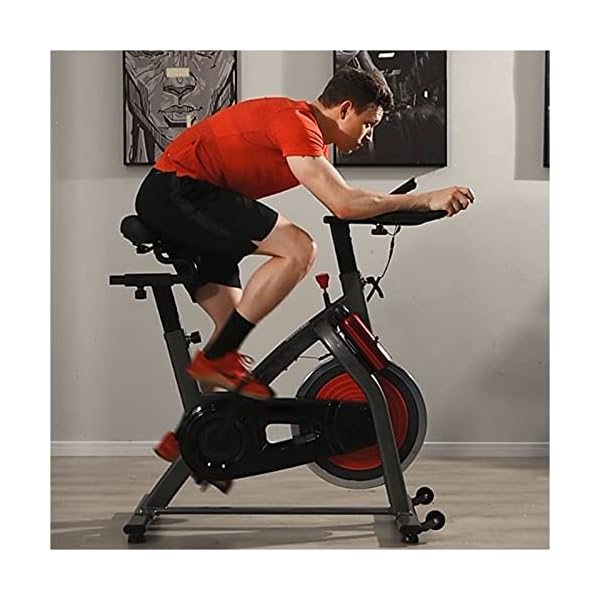 Exercise Bike for Home Gym, Belt Drive Indoor Cycling Bike, 4-Way Adjustable Handlebar & Seat, Monitor Pulse Rate…