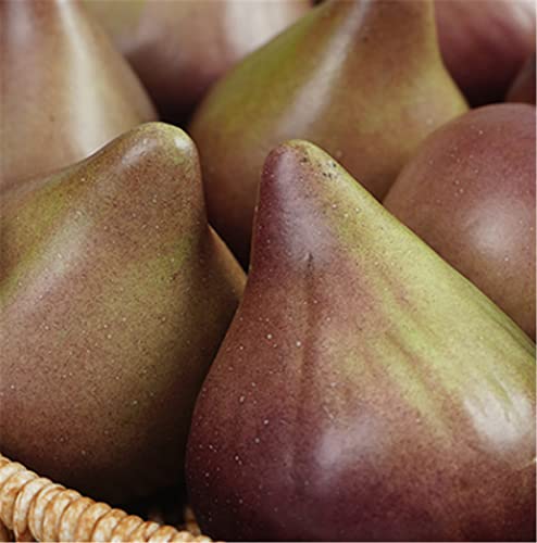 Skyseen 8Pcs Realistic Artificial Fruits Lifelike Decorative Fig Photography Props Home Decoration #TOP7