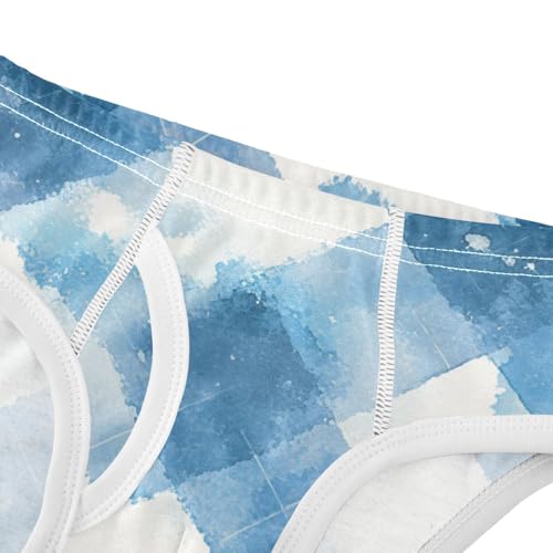 KLL Argyle Buffalo Plaid Tartan Check Scotland Blue White Toddler Boys' Cotton Underwear Cute Undies4