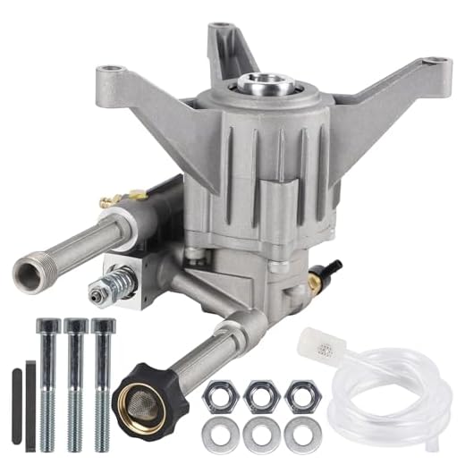 Powerful Biswing Pressure Washer Pump Replacement