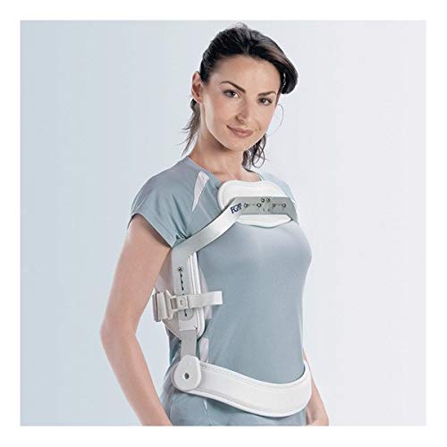 FGP - F 35-100 BASCULANTE - IPERESTENSORE VERTEBRALE A 3 PUNTI - XL, Normale