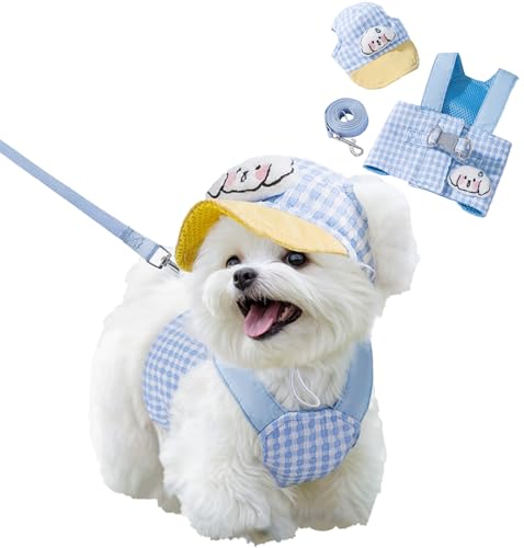 FTBOL   [hZbg n[lX ^    ybg U ȒP  킢 [ht y _炩 ߉\ `FbN Lp ʋC Ď (u[, M)