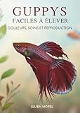  Guppys Faciles À Élever: Couleurs, Soins Et Reproduction