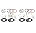 WaruiTT 796184 Carburetor Repair Kits for BS Master Overhaul Nikki Carbs 698787 699900 699521 792369 790032 (2Pack)
