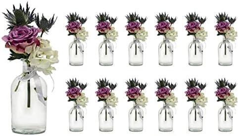 Casavetro 12 x Small Vase Set New-Bost Band Including Glass Bottles Clear Decorative Flower Vase Wedding (12 x Bowknot White)