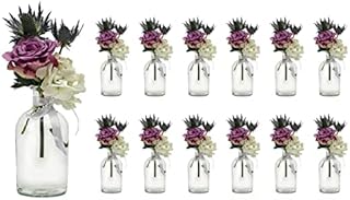 Casavetro 12 x Small Vase Set New-Bost Band Including Glass Bottles Clear Decorative Flower Vase Wedding (12 x Bowknot White)