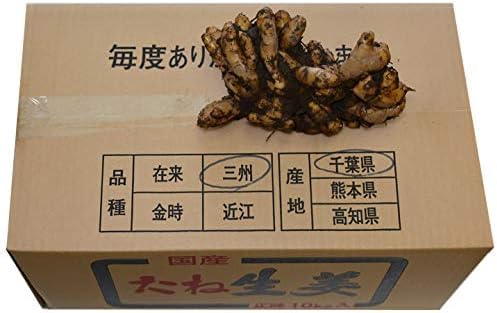 Amazon.co.jp: 種生姜 千葉県産三州生姜10kg : 食品・飲料・お酒