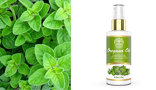 Oregano Oil Organic 2Oz Pure Essential Oil Natural Wild Now Carvacrol Oreganol Oil Pump Spray Easy To Apply No Mess 60Ml 2Floz #TOP3