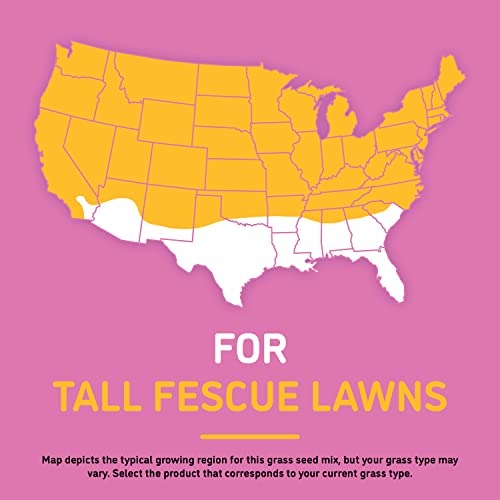 Barkyard Bad Spot Tall Fescue: Repairs Bare Spots, Mulch, Seed, And Fertilizer Repairs Yard Bald Spots And Pee Spots, Covers Up To 85 Sq. Ft., 3.75Lb. #TOP5