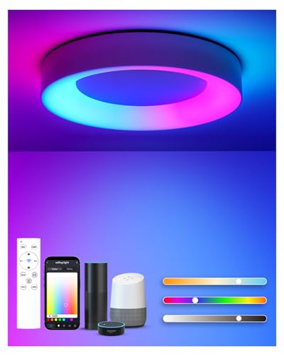 Matane Smart Ceiling Light RGB with Remote Control, 24W Dimmable LED Flush Mount Lamp Indoor Work with APP, Alexa, Google Home, 3000-6500K for Living Room, Bedroom, Kids Room, Kitchen, Round 11 inch